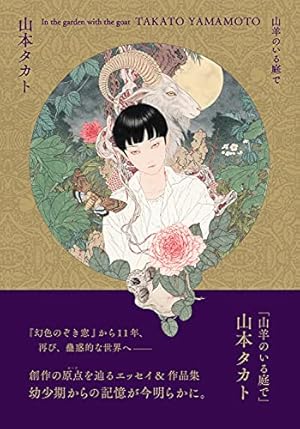 山本タカト画集3冊セット 山本タカト 画集 セット 山本タカト 画集 セット Amazon.com